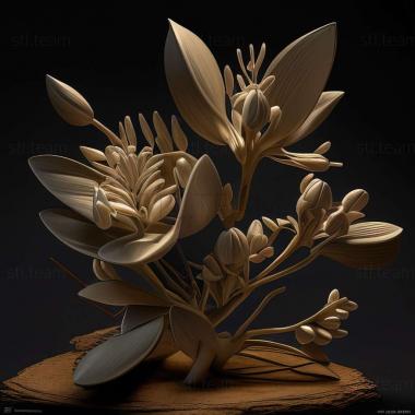 3D model Bocydium sphaerulatum (STL)